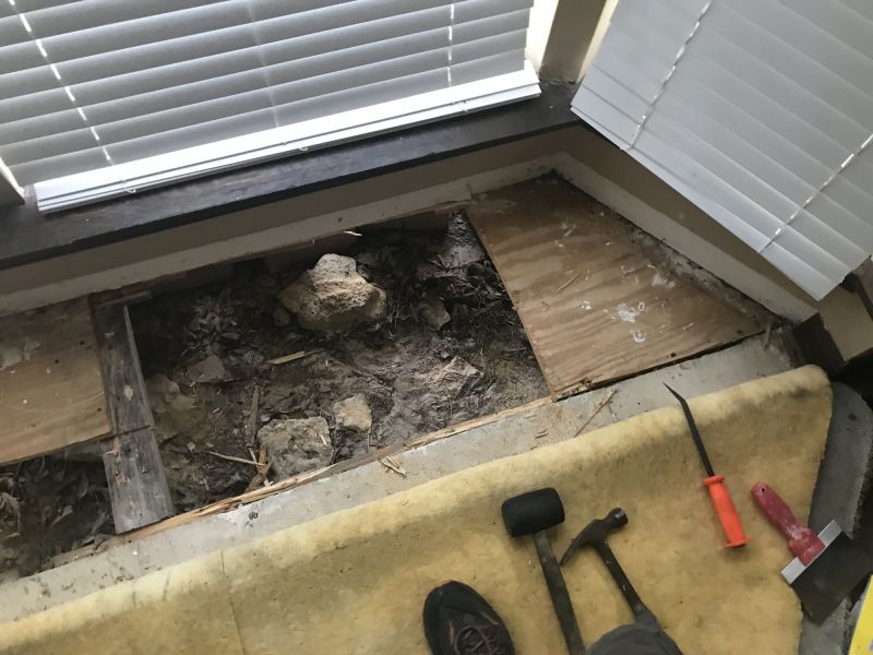 Floor Boards Repair