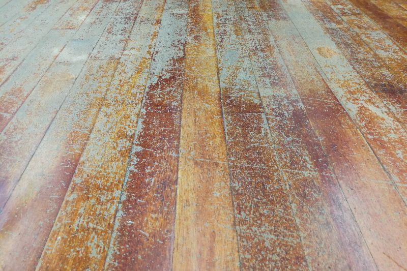 Damaged Floor Boards